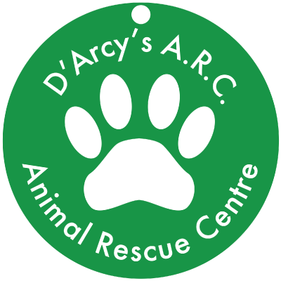 D’Arcy’s-ARC_logo_COLOR-400